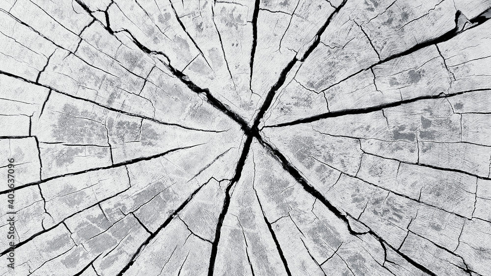Gray or Grey cracked wooden background or wall. Abstract wood wallpaper and Art line or damaged concept.