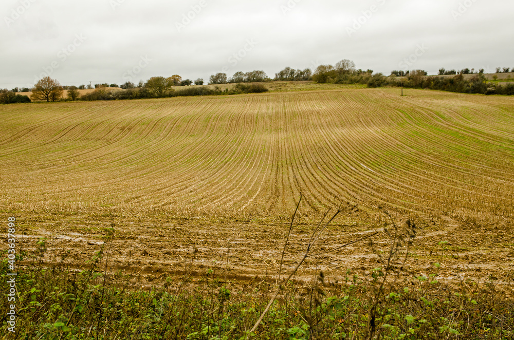 View along the furrows of a ploughed field in the Autumn near Basingstoke