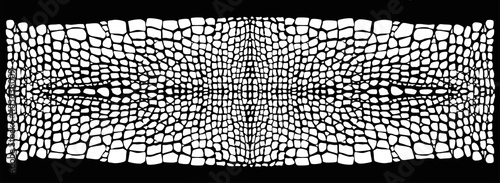 Reptile skin. Animal print background.