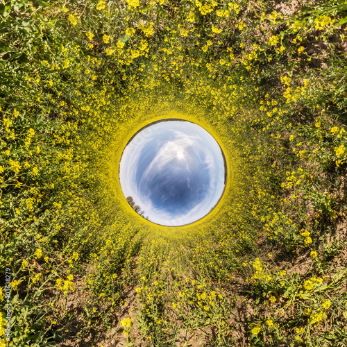 inversion of Little planet transformation of spherical panorama 360 degrees. Spherical abstract aerial view in rapeseed field with awesome beautiful clouds. Curvature of space.