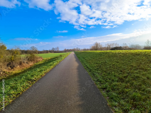 Walking and cycling path through Alsace in north-eastern France. Asphalt road through agricultural fields to the horizon.