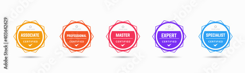 Set of company training badge certificates to determine based on criteria. Vector illustration certified logo geometric design.