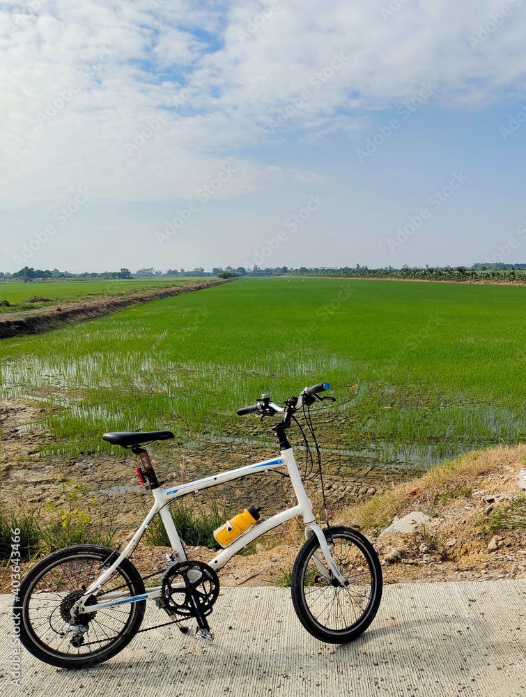 Obraz premium bicycle on the beach