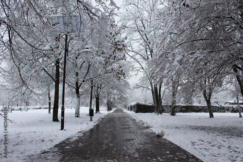 Polska zima śnieg w parku krajobraz pejzaż 