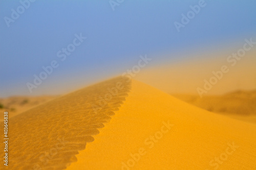 Sand dunes in the desert near Dubai  UAE
