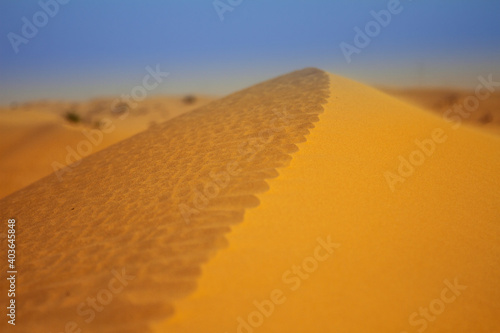 Sand dunes in the desert near Dubai  UAE