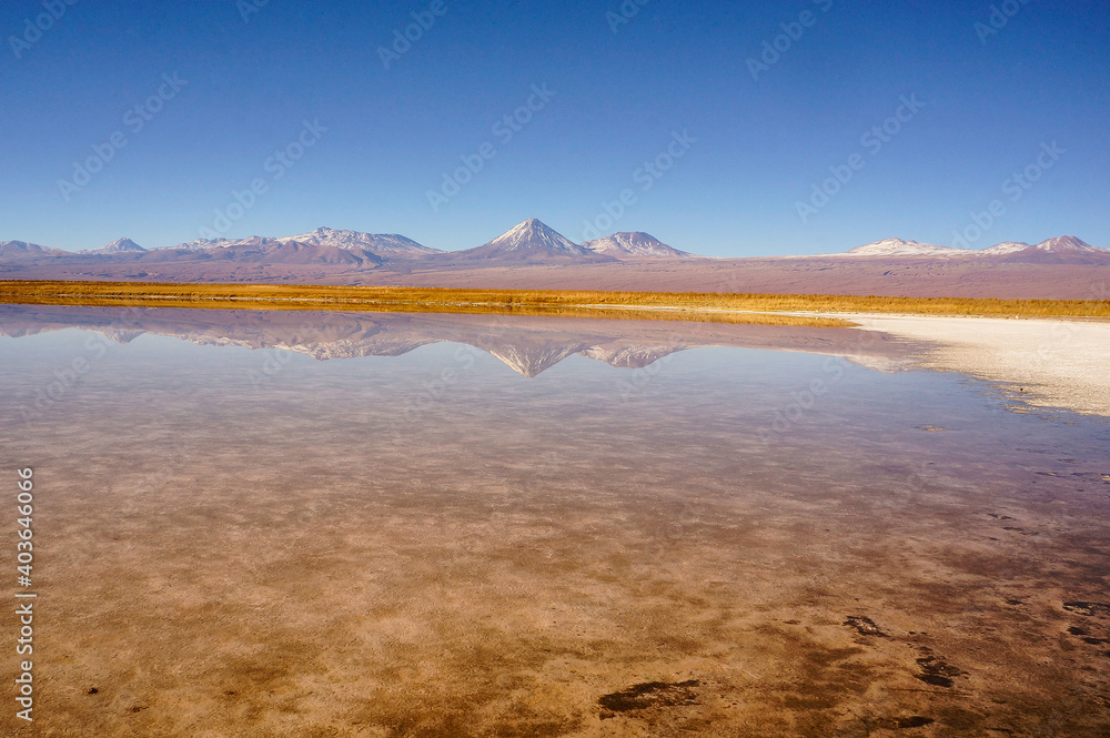 View of Laguna Cejar in the Atacama Desert, Antofagasta, Chile