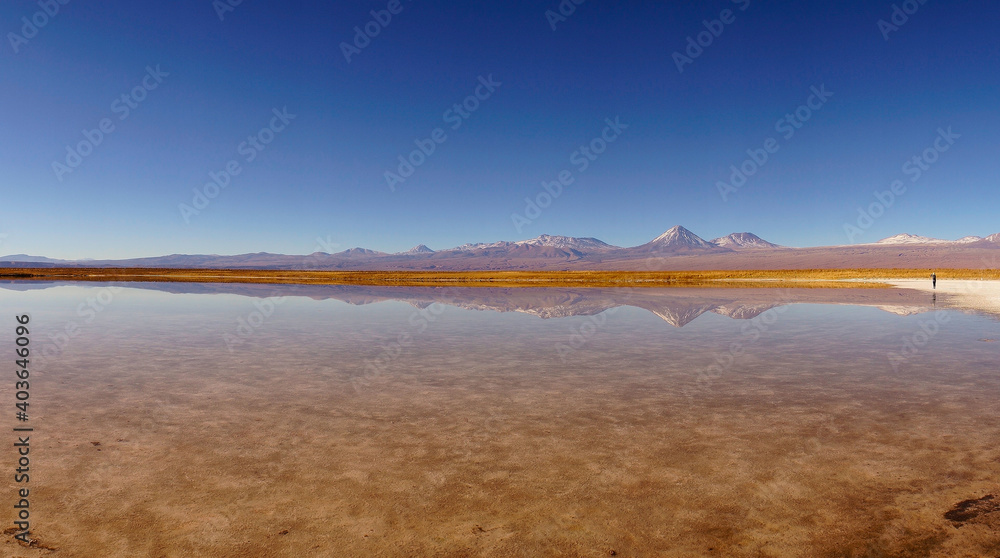 View of Laguna Cejar in the Atacama Desert, Antofagasta, Chile