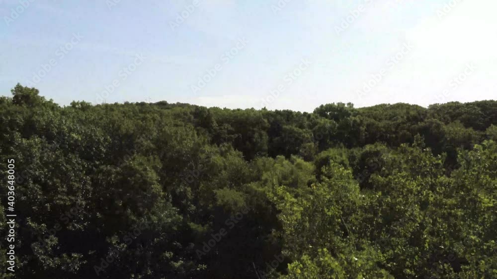 Spiral drone shot of forrest that ends at the lake. Spiral drone shot of forrest that ends at the lake.