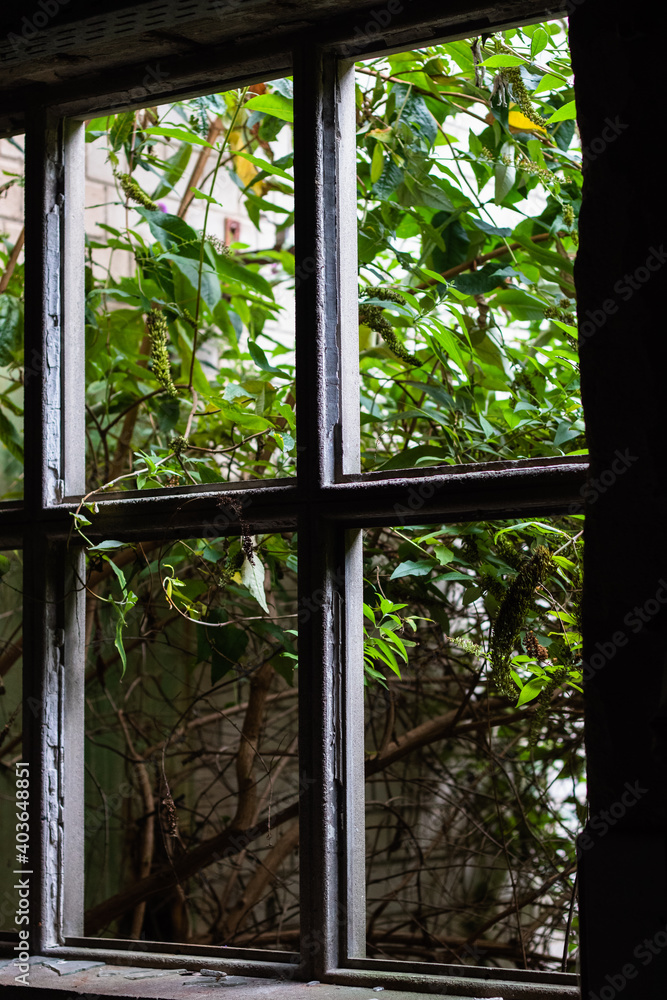 Fototapeta premium Old Broken Window in old industrial building