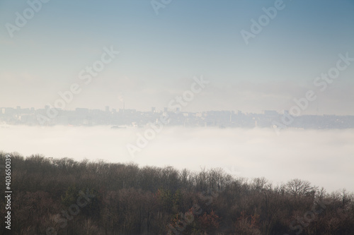 Fog with top view of trees and cityscape against blue sky