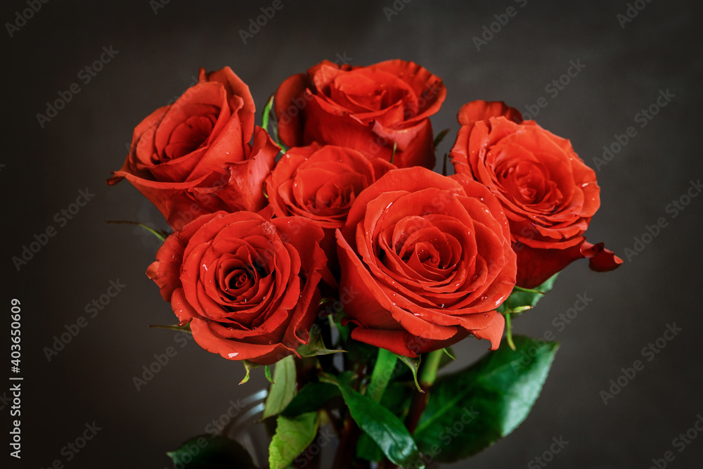 Bouquet of beautiful red roses on black background. Bouquet of beautiful red roses on black background.
