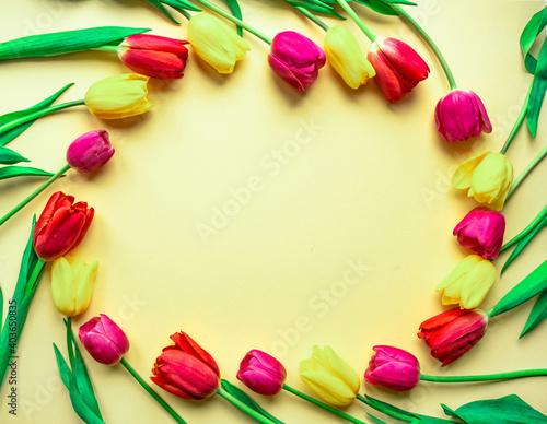 Fototapeta Naklejka Na Ścianę i Meble -  Colorful lovely fresh tulips in the form of a circle on a light yellow paper background. Greeting card. Flat lay.