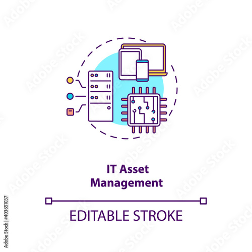 IT asset management concept icon. AM type idea thin line illustration. Hardware, software systems. Organization values information. Vector isolated outline RGB color drawing. Editable stroke