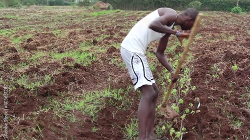 Maasai farmer using a hoe in his garden photo