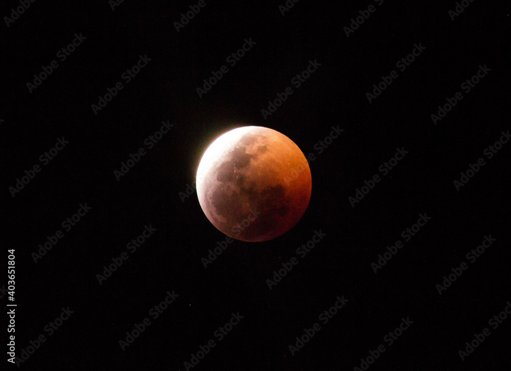 moon moon