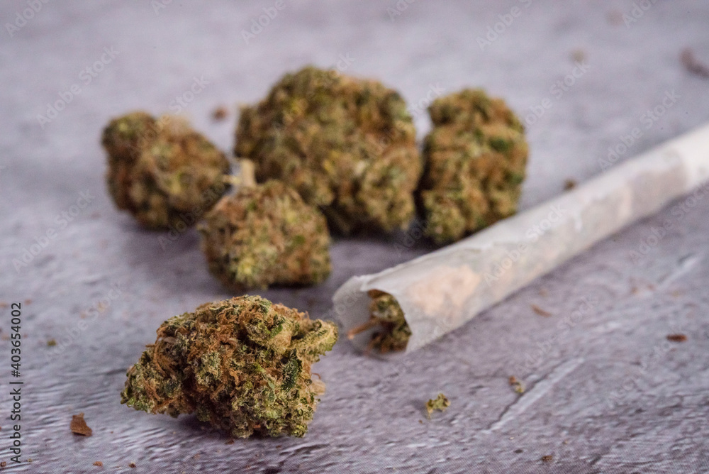 joint ready to be smoked and dried weed, how to make a joint, kit to roll a joint, dried hemp, weed to smoke joint ready to be smoked and dried weed, how to make a joint, kit to roll a joint, dried hemp, weed to smoke