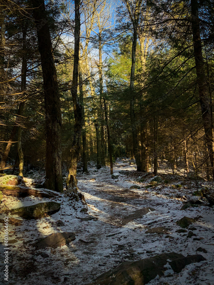 Winter hiking trail Winter hiking trail