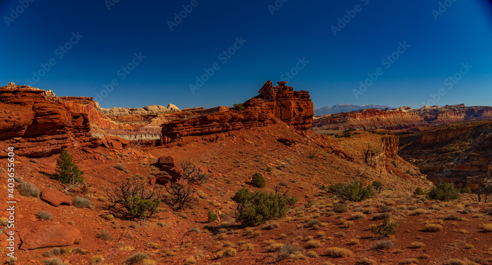 Fototapeta premium Multicolored Sandstone of Capital Reef National Park