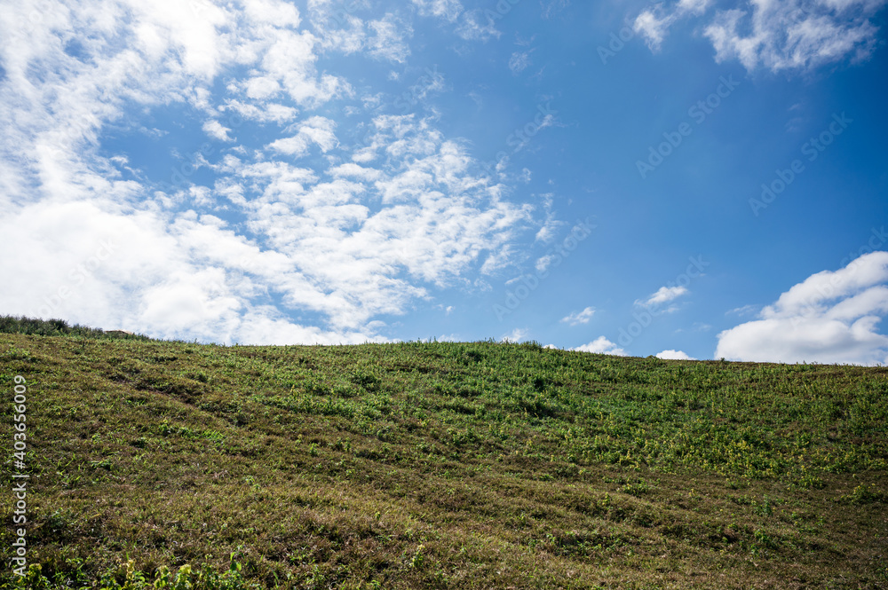 Green agricultural hill and cloud in blue sky