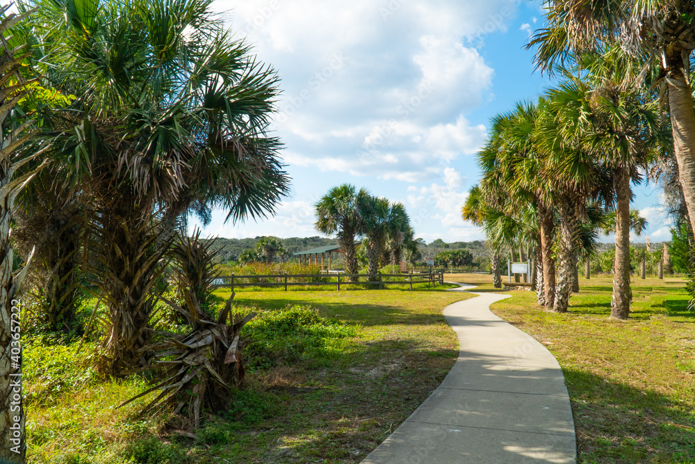Obraz premium River to the Sea park on a beutiful day in Palm County Florida