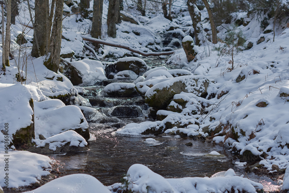 Fototapeta premium The snow-covered stream of Sestil del Maíllo in Puerto de Canencia. Sierra de Guadarrama National Park. Madrid's community. Spain
