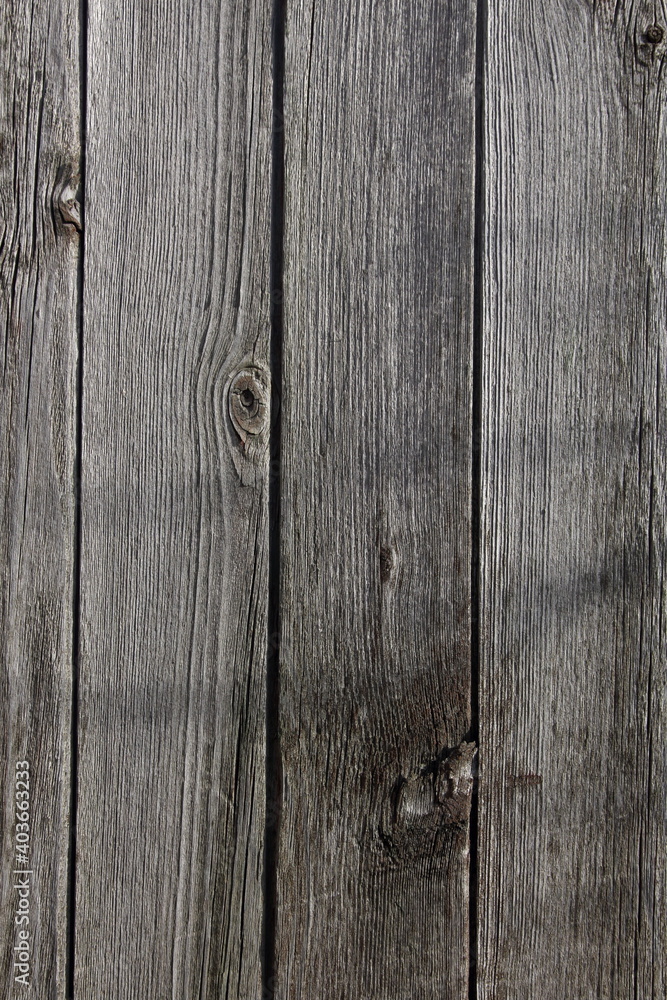 Naklejka premium old wood texture