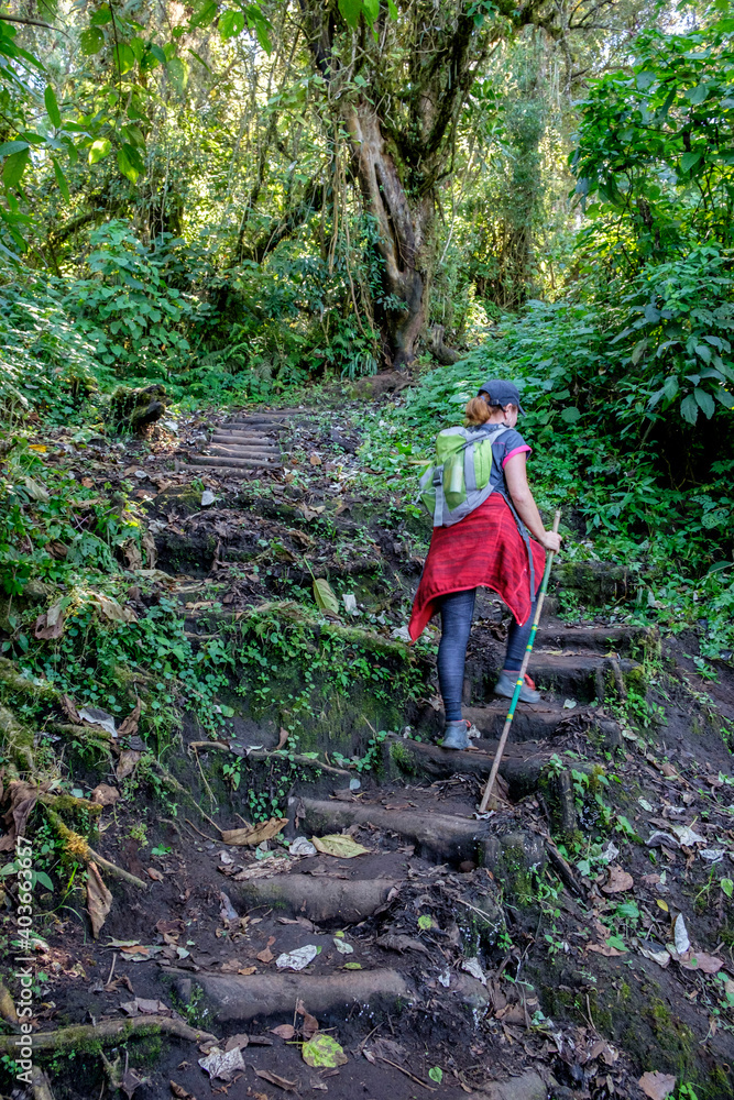 ascension al volcan San Pedro 3020 m. parque ecológico del volcán San Pedro, lago de Atitlán,departamento de Sololá , República de Guatemala, América Central