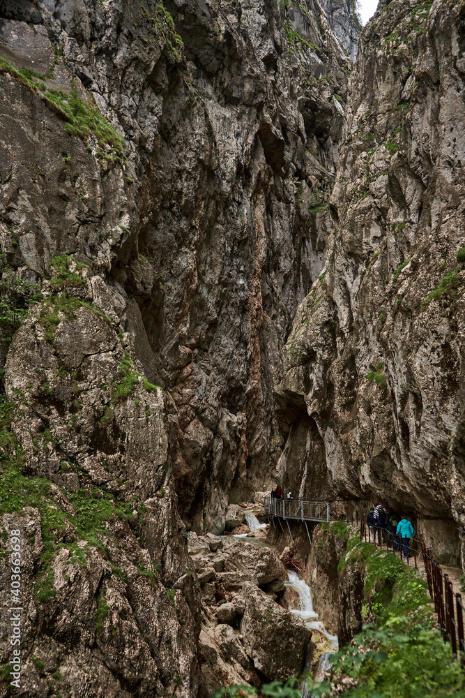 rock in the forest