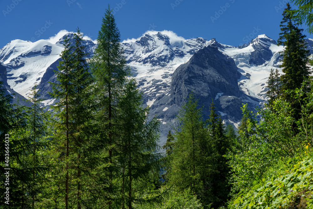 Obraz premium Mountain landscape along the road to Stelvio pass at summer
