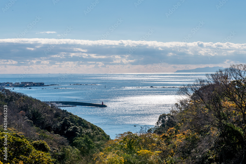 高台からの海の景色 輝く海面 高台からの海の景色 輝く海面