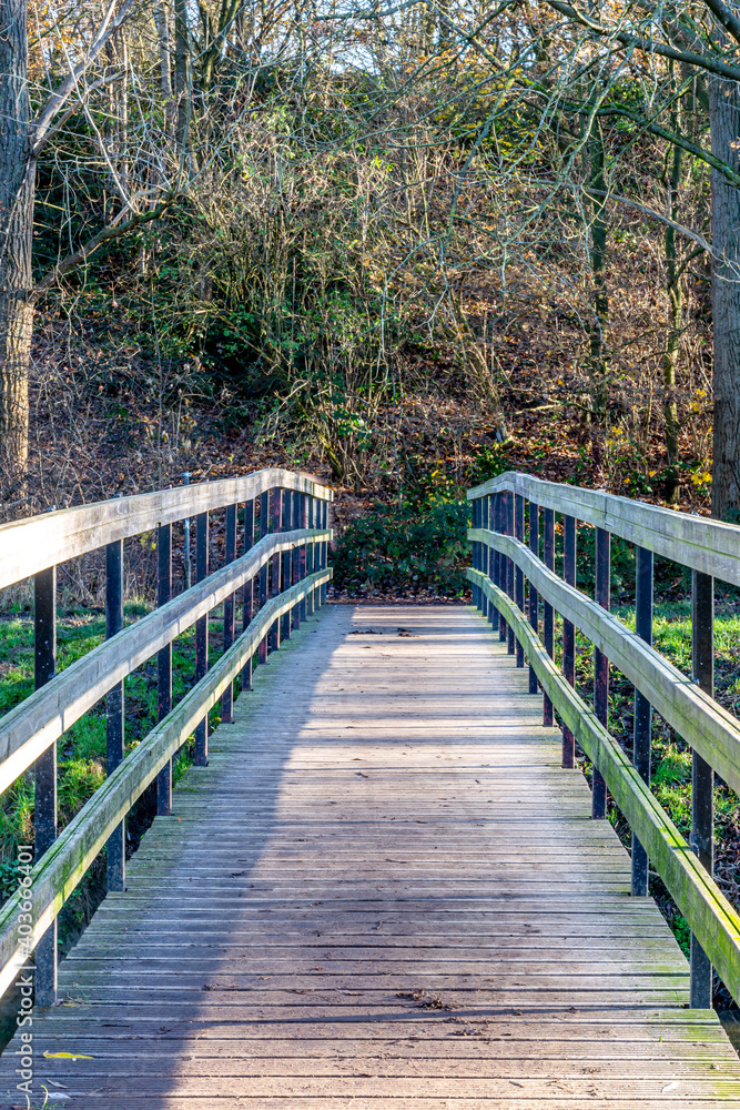 Wooden footbridge in a nature reserve with wild plants and bare trees in the background, sunny winter day in Sweikhuizen, South Limburg, The Netherlands. Depth perspective
