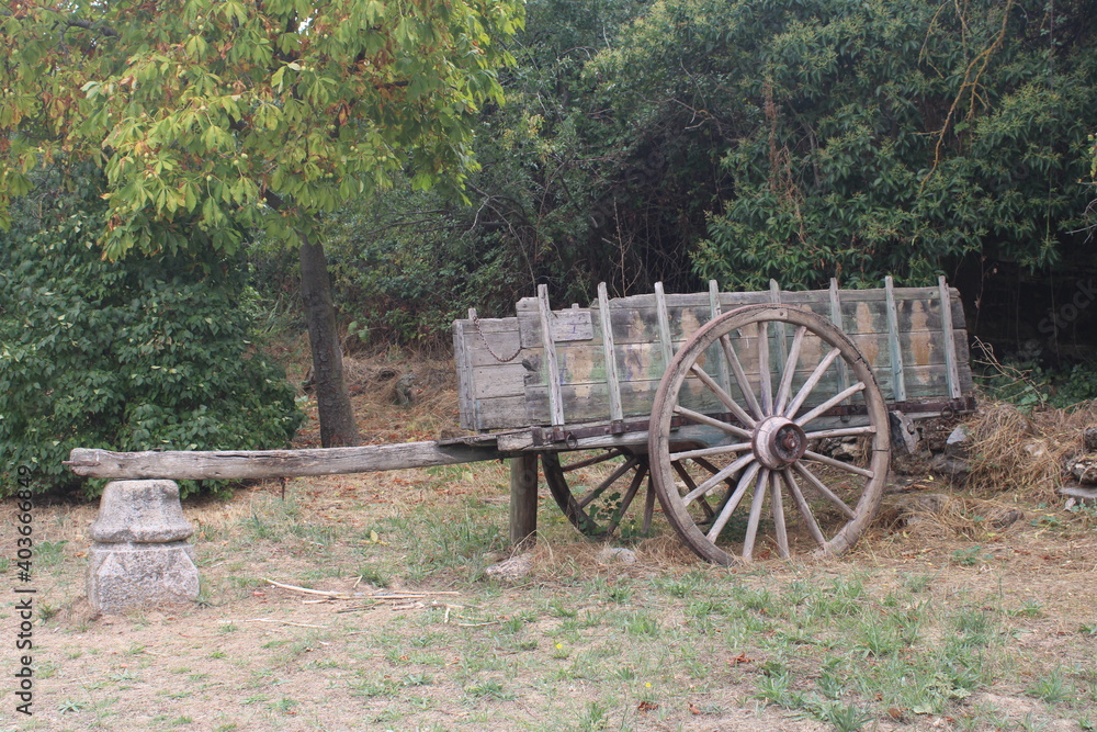 Fototapeta premium Carromato en un prado en verano