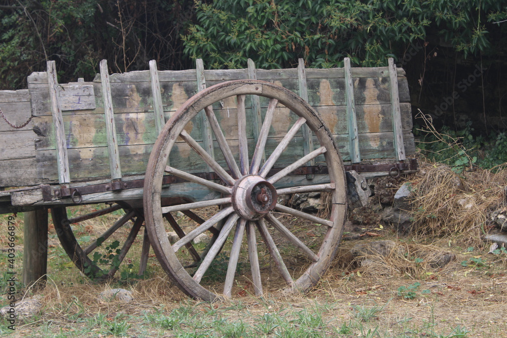 Carro en un prado