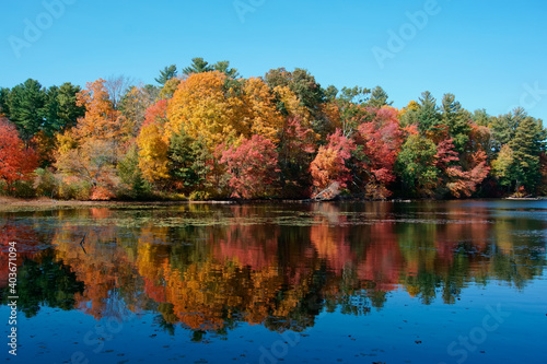 autumn trees reflected in lake Whitehall state park MA USA