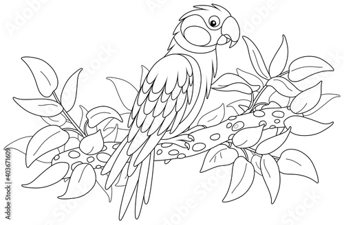 Amusing parrot perched on a tree branch in a tropical jungle, black and white outline vector cartoon illustration for a coloring book page