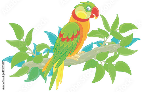 Amusing colorful parrot, long-tailed and with brightly colored plumage, perched on a green tree branch in a tropical jungle, vector cartoon illustration isolated on a white background