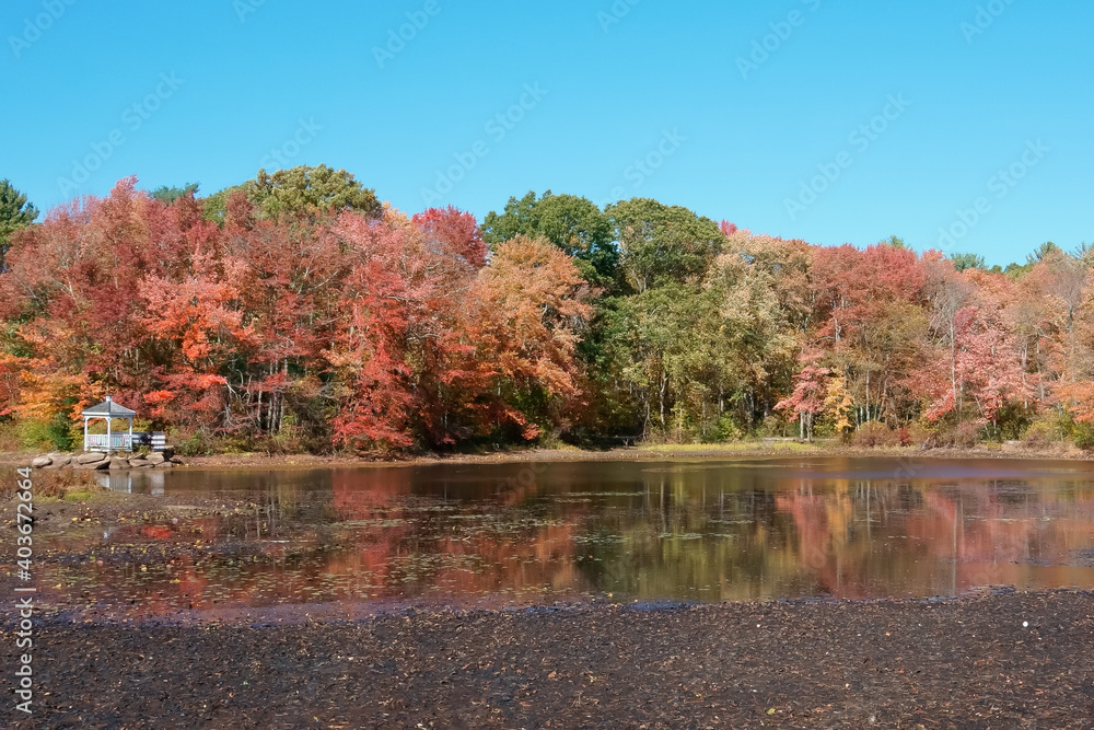 Autumn color of icehouse pond hopkinton MA USA Autumn color of icehouse pond hopkinton MA USA