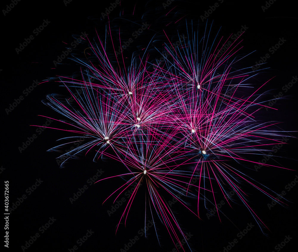 Coloured firework exploding at a fireworks display.