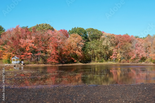 Autumn color of icehouse pond hopkinton MA USA