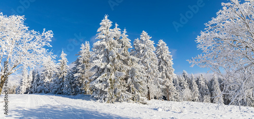 Verschneite Winterlandschaft und blauer Himmel, Panorama.