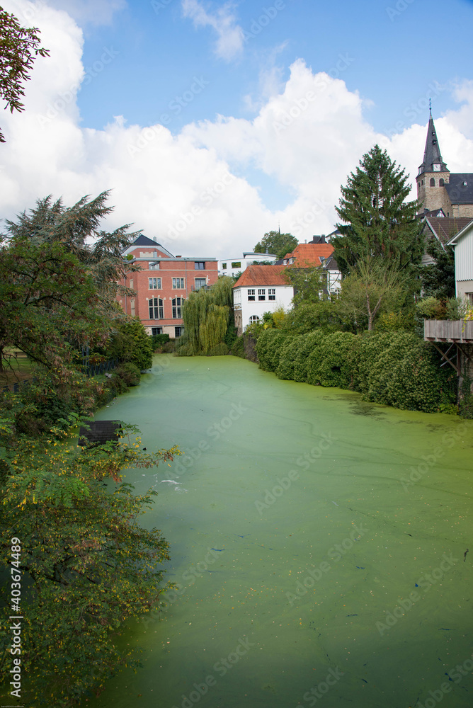 Der Ententeich in Kettwig voller grüner Algen