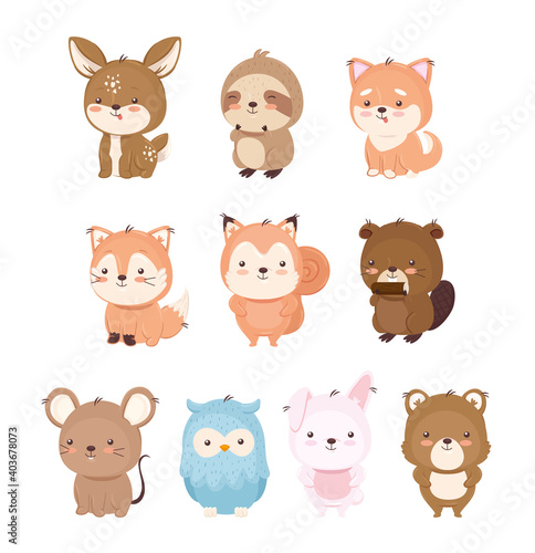 Kawaii animals cartoons icon set design, Cute character and nature theme Vector illustration