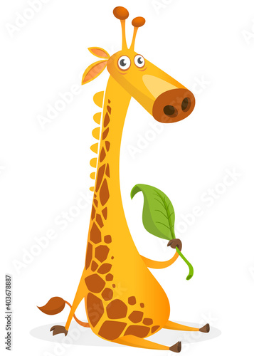 Cartoon giraffe character. Vector illustration funny giraffe eating a leaf and smiling.