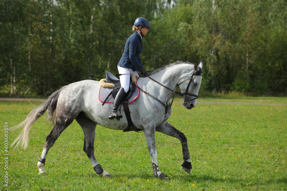 Equestrian model girl riding sportive dressage horse in summer fields Equestrian model girl riding sportive dressage horse in summer fields