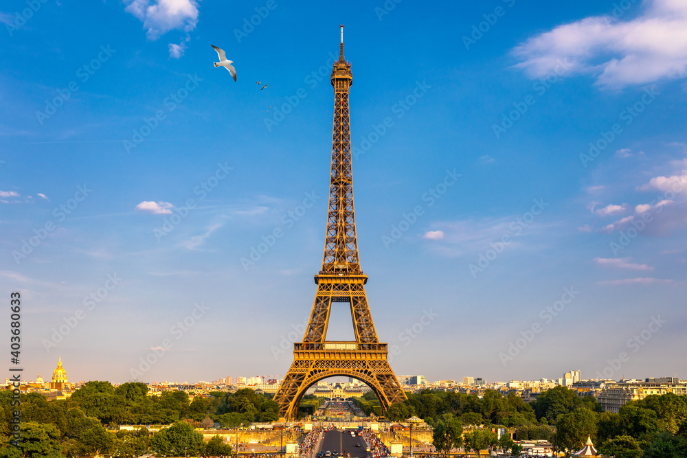 Fototapeta premium Eiffel tower in summer with flying birds, Paris, France. Scenic panorama of the Eiffel tower under the blue sky. View of the Eiffel Tower in Paris, France in a beautiful summer day. Paris, France.