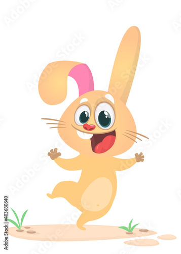 Cartoon Bunny Rabbit Character. Vector illustration