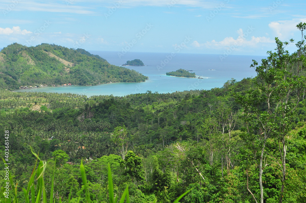 refreshing green scenery refreshing green scenery