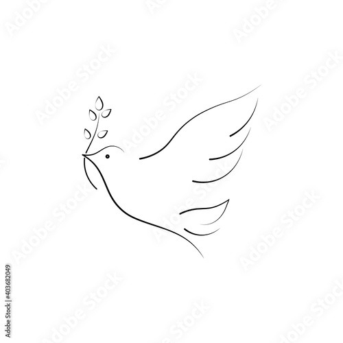 Minimalistic dove with branch vector outline illustration on white background