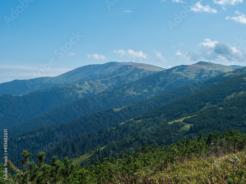 view from ridge of Low Tatras mountains, hiking trail with mountain meadow, scrub pine and grassy green hills and slopes. Slovakia, summer sunny day, blue sky background